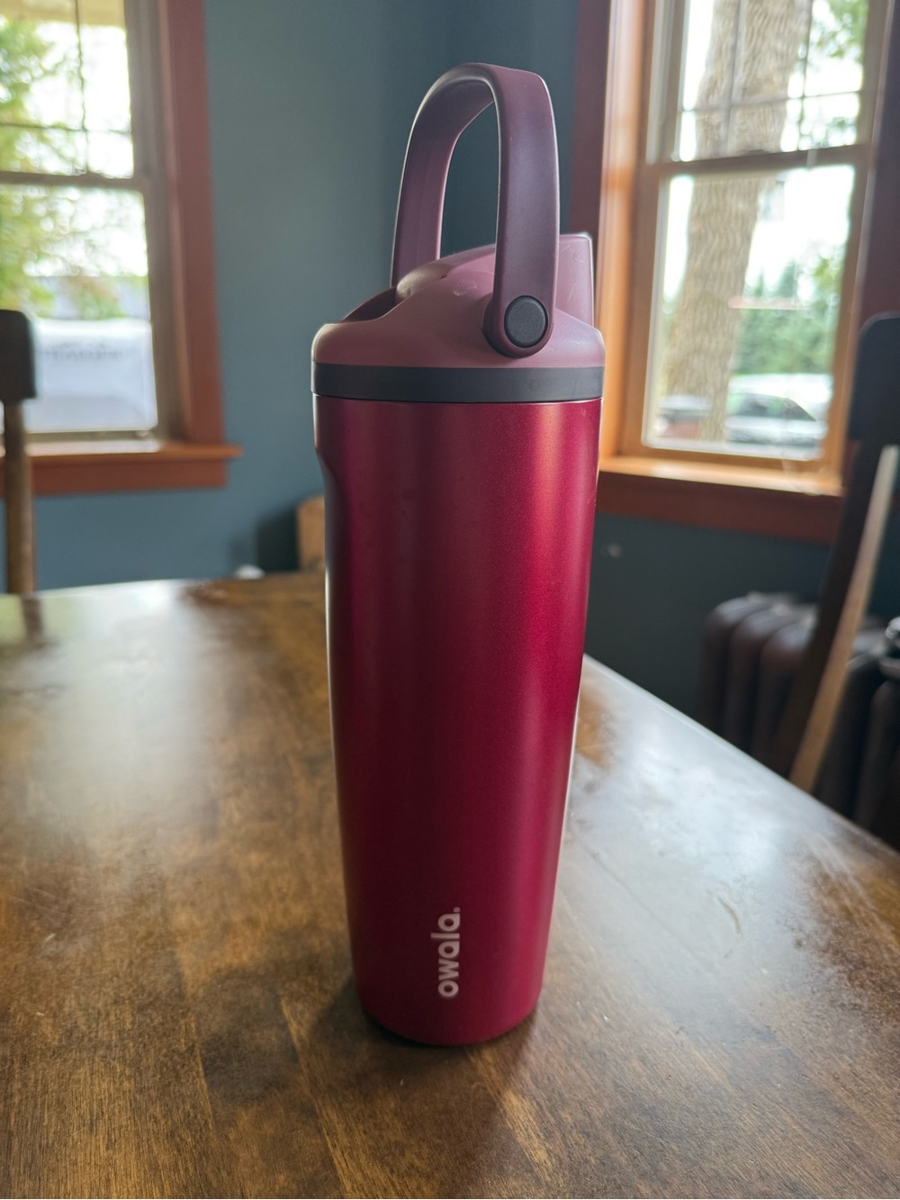 Owala 30 oz Freesip Stainless Steel Water Bottle